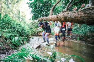 BIB: 
                            <button type="button" onclick="openModal(25514940)" class="btn btn-primary btn-sm float-right btn-popup" data-toggle="modal" data-target=".modal-high-quality">
                        <i class="fas fa-shopping-cart"></i> Add to Cart
                    </button>
                                            <button type="button" onclick="isThisMe(25514940, true)" class="btn btn-success btn-sm float-right btn-popup btn-isme hidden" data-toggle="tooltip" data-placement="bottom" title="นี่คือรูปของคุณใช่ไหม คลิกที่นี่เพื่อเอาเข้าอัลบั้ม">
                        <i class="fas fa-plus"></i> Add to album
                    </button>
                    <button type="button" onclick="isThisMe(25514940, false)" class="btn btn-warning btn-sm float-right btn-popup btn-isnotme hidden">
                        <i class="fas fa-ban"></i> Remove from album
                    </button>